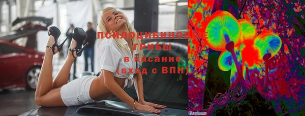 молекула духа Лиски