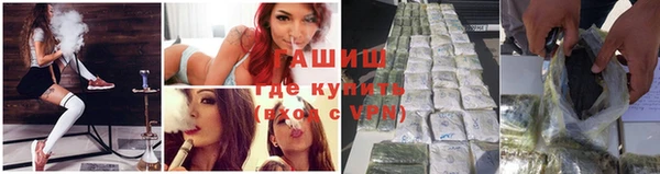 сатива Лихославль