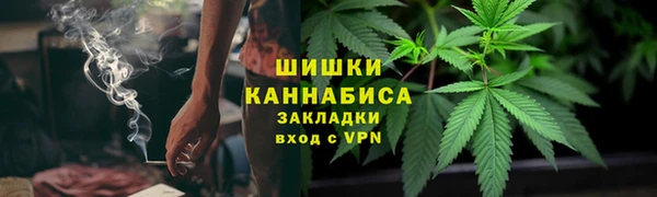 сатива Лихославль