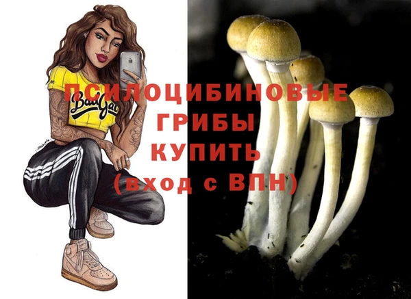 сатива Лихославль