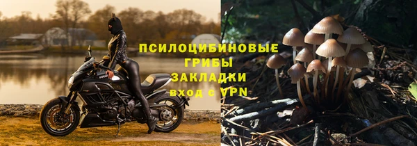 молекула духа Лиски