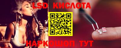 шишки Конаково