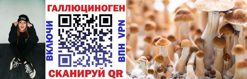 Псилоцибиновые грибы прущие грибы  где найти наркотики  mega как войти  Туапсе 
